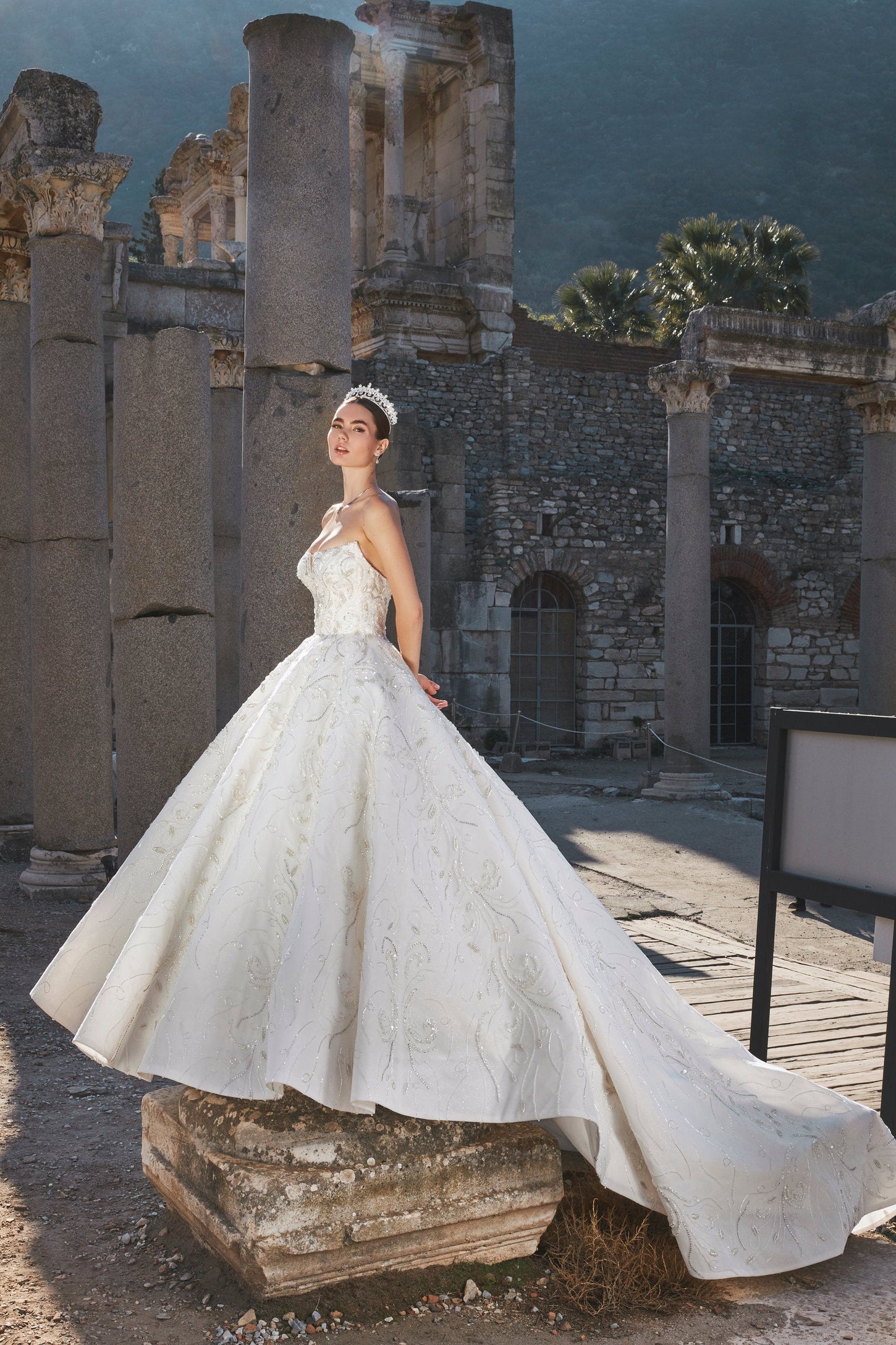 Floral Harmony: Delicate Embroidered Bridal Gown
