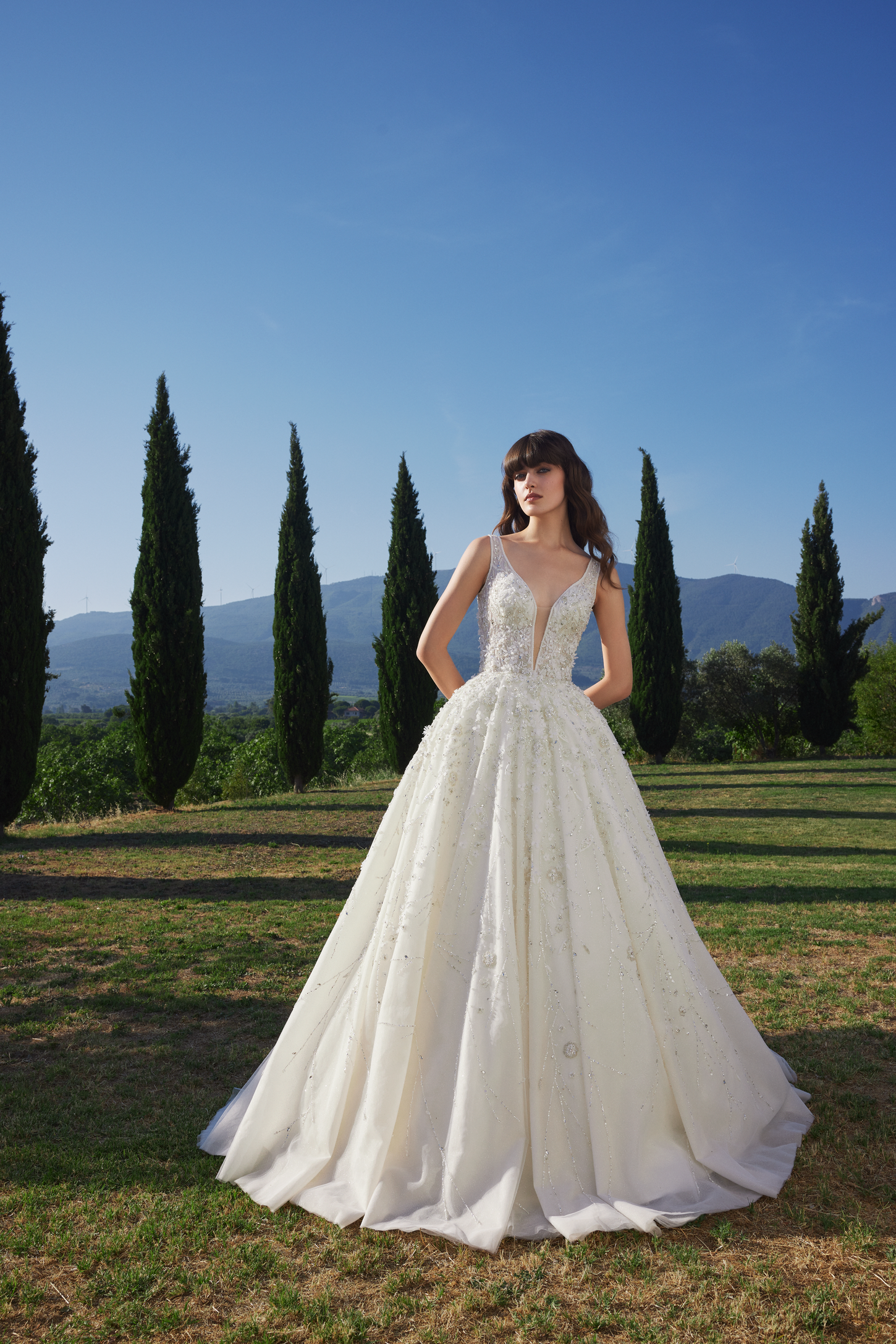 Enchanted Floral Ball Gown with V-Neckline