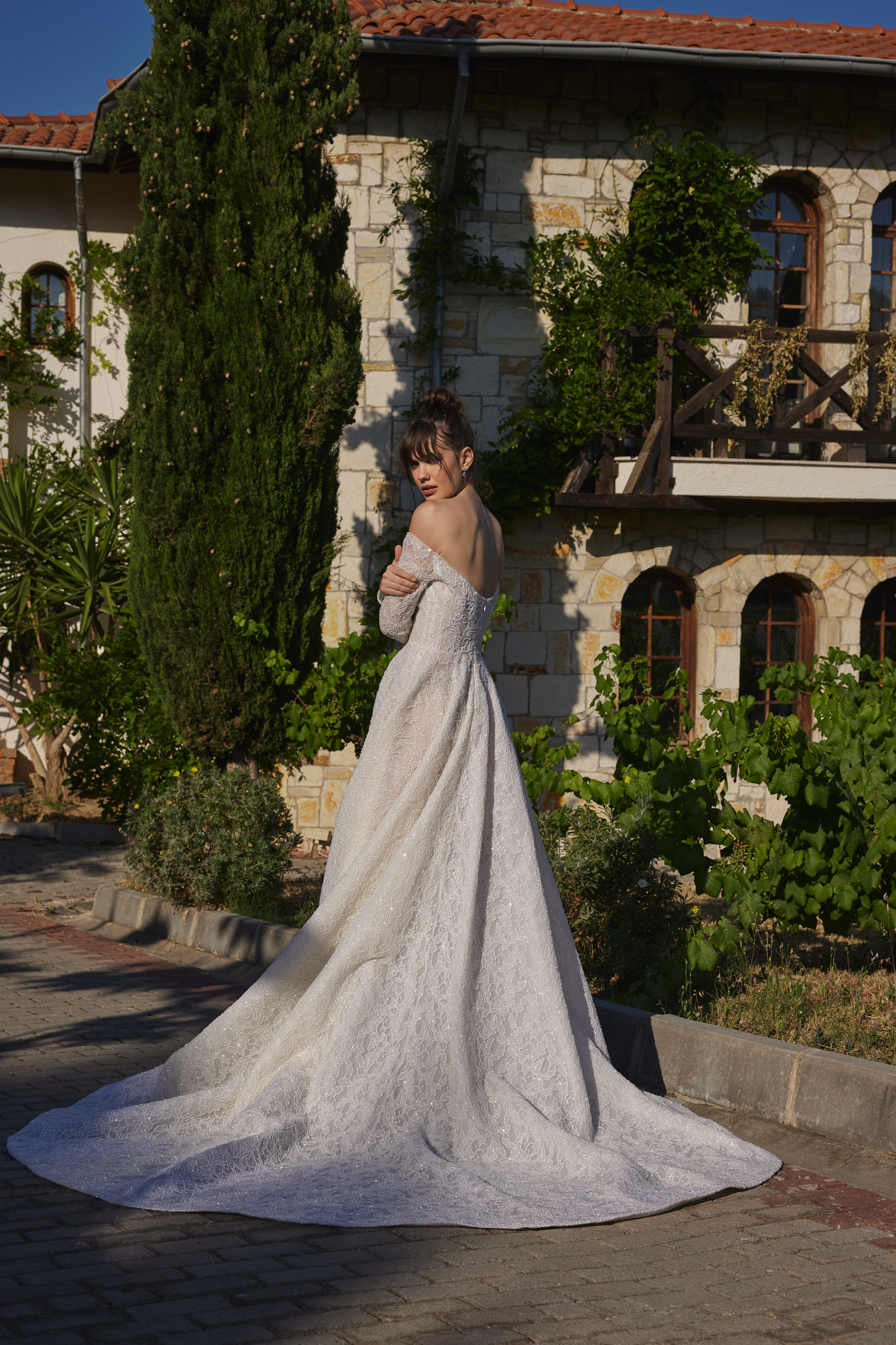 Shimmering Lace A-Line Bridal Gown with Long Sleeves