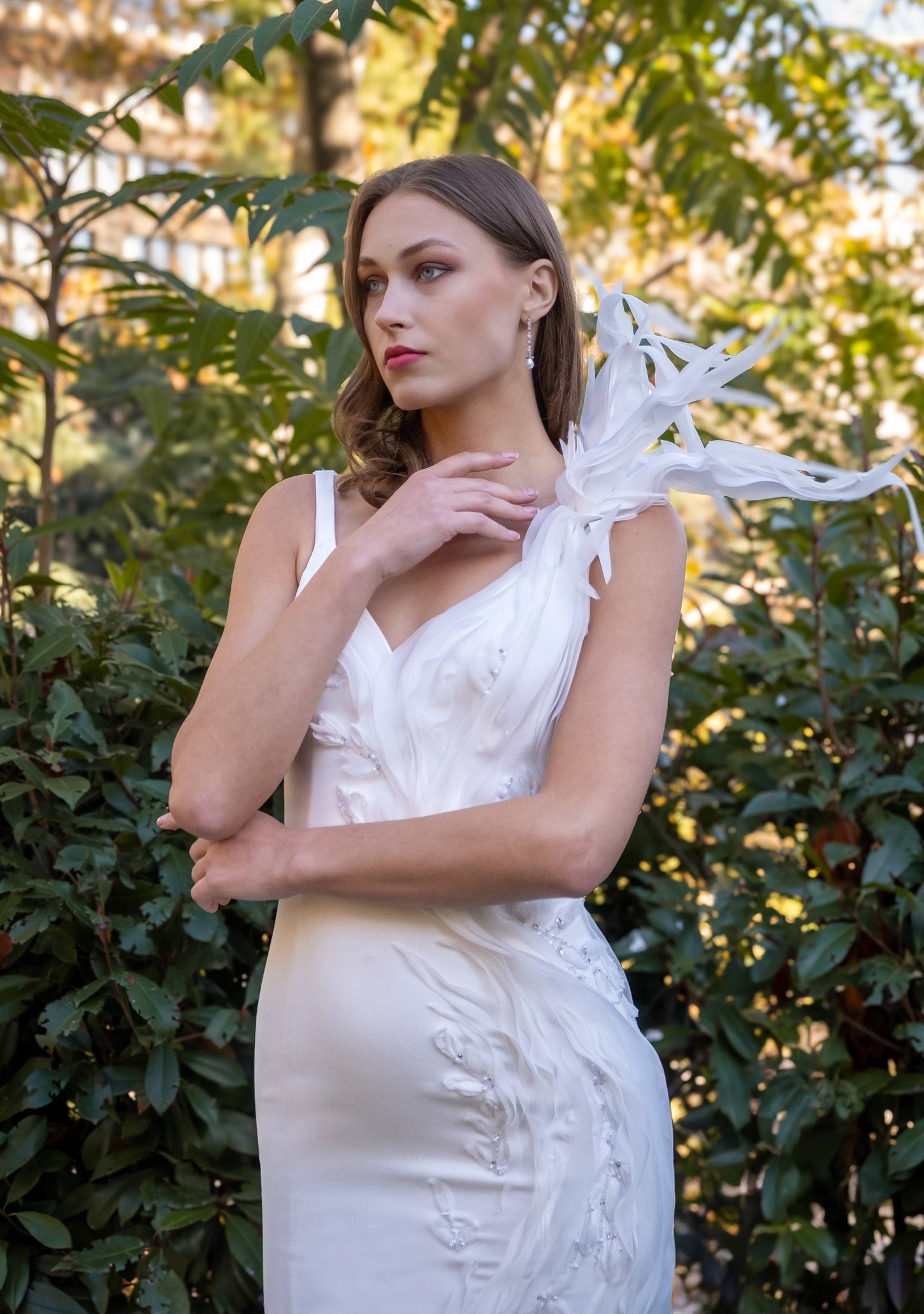 Dove Grace