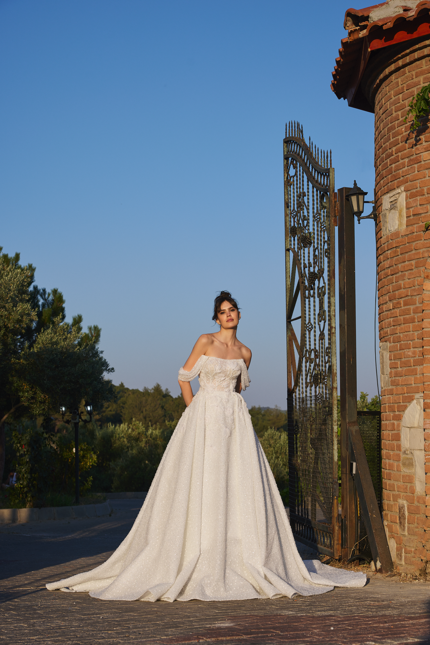 Shimmering Lace Bridal Gown with 3D Florals and Off-the-Shoulder Neckline