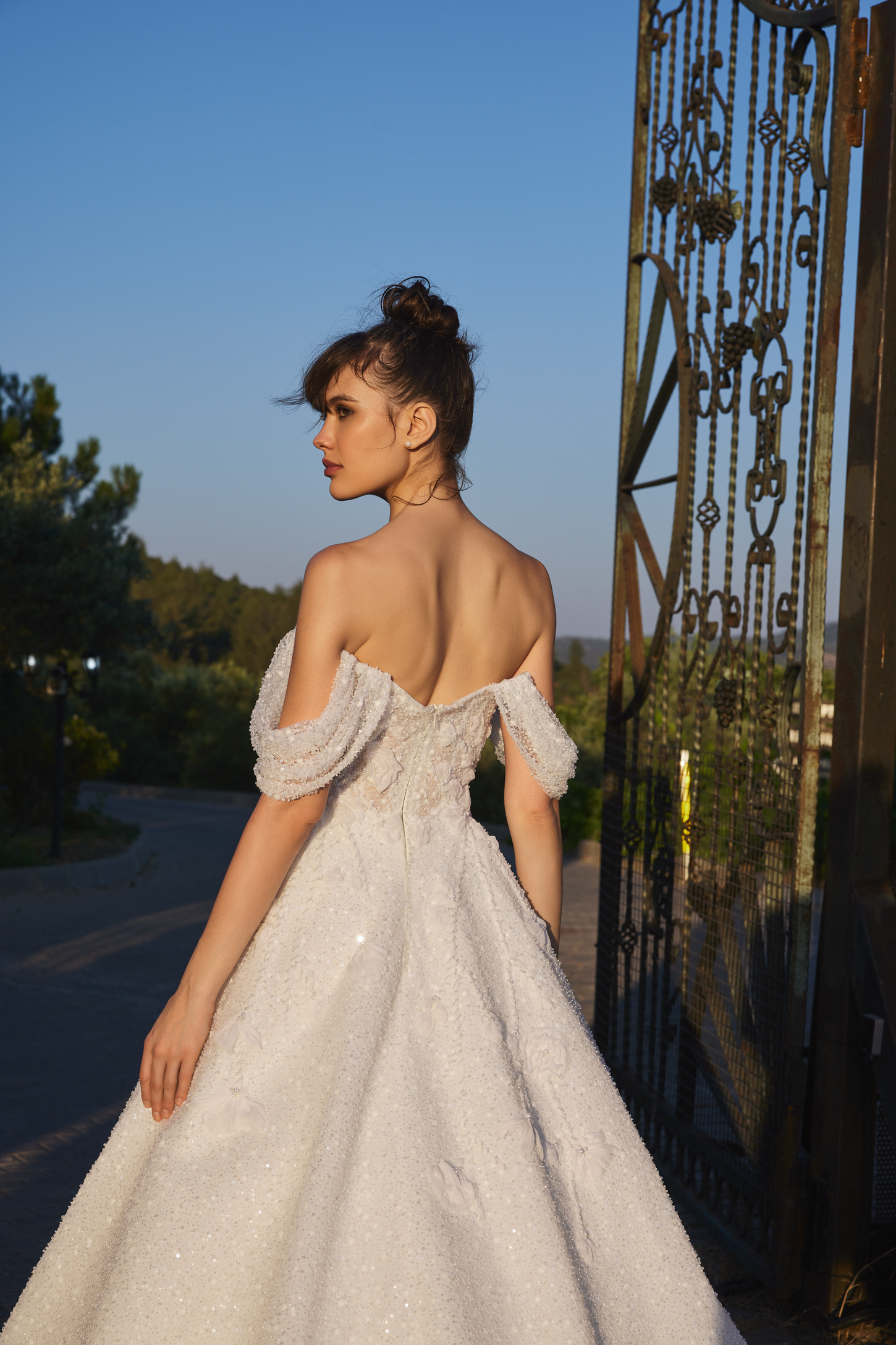 Shimmering Lace Bridal Gown with 3D Florals and Off-the-Shoulder Neckline