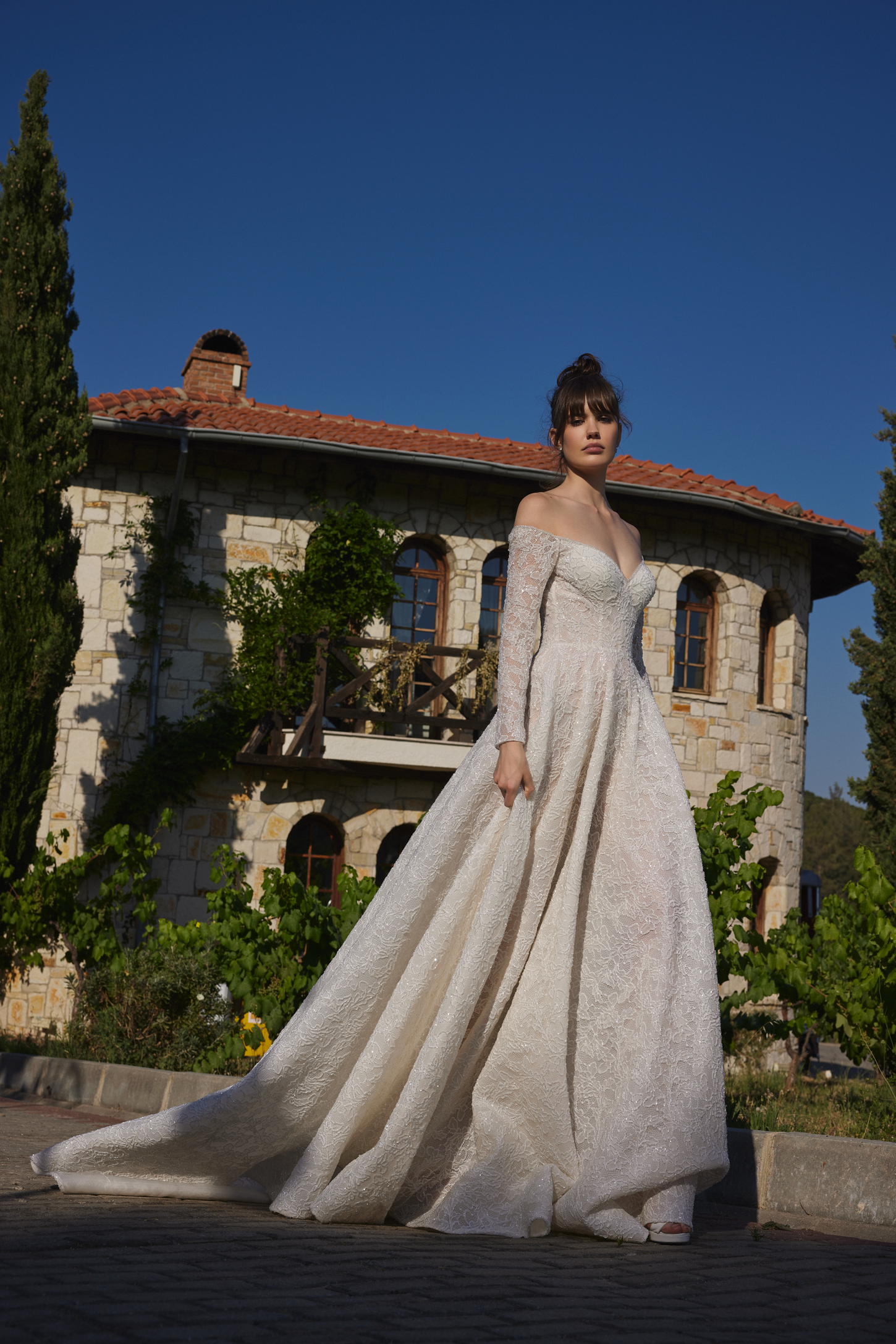 Shimmering Lace A-Line Bridal Gown with Long Sleeves