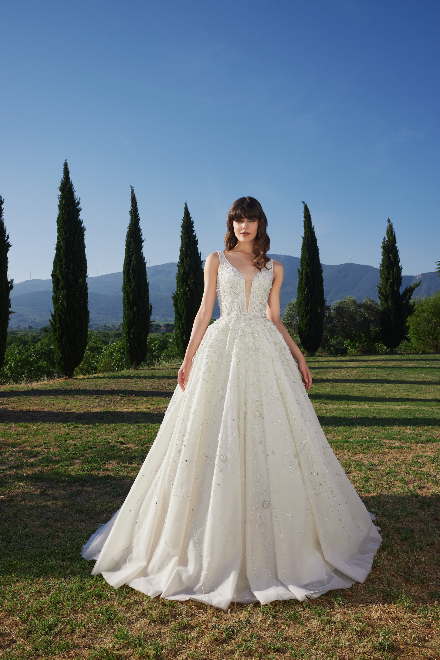 Enchanted Floral Ball Gown with V-Neckline