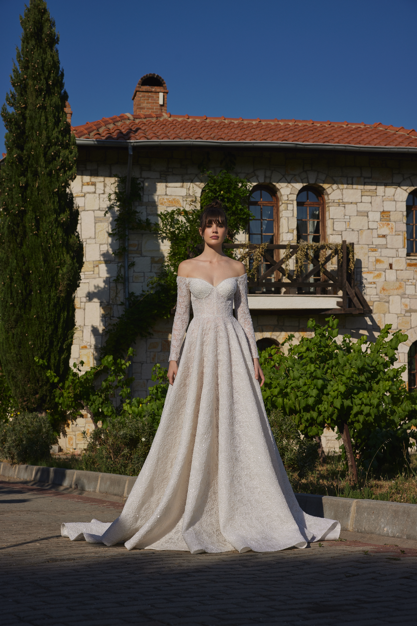 Shimmering Lace A-Line Bridal Gown with Long Sleeves