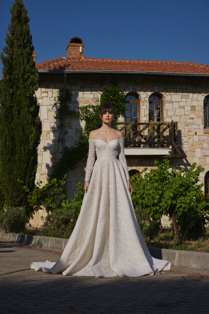 Shimmering Lace A-Line Bridal Gown with Long Sleeves