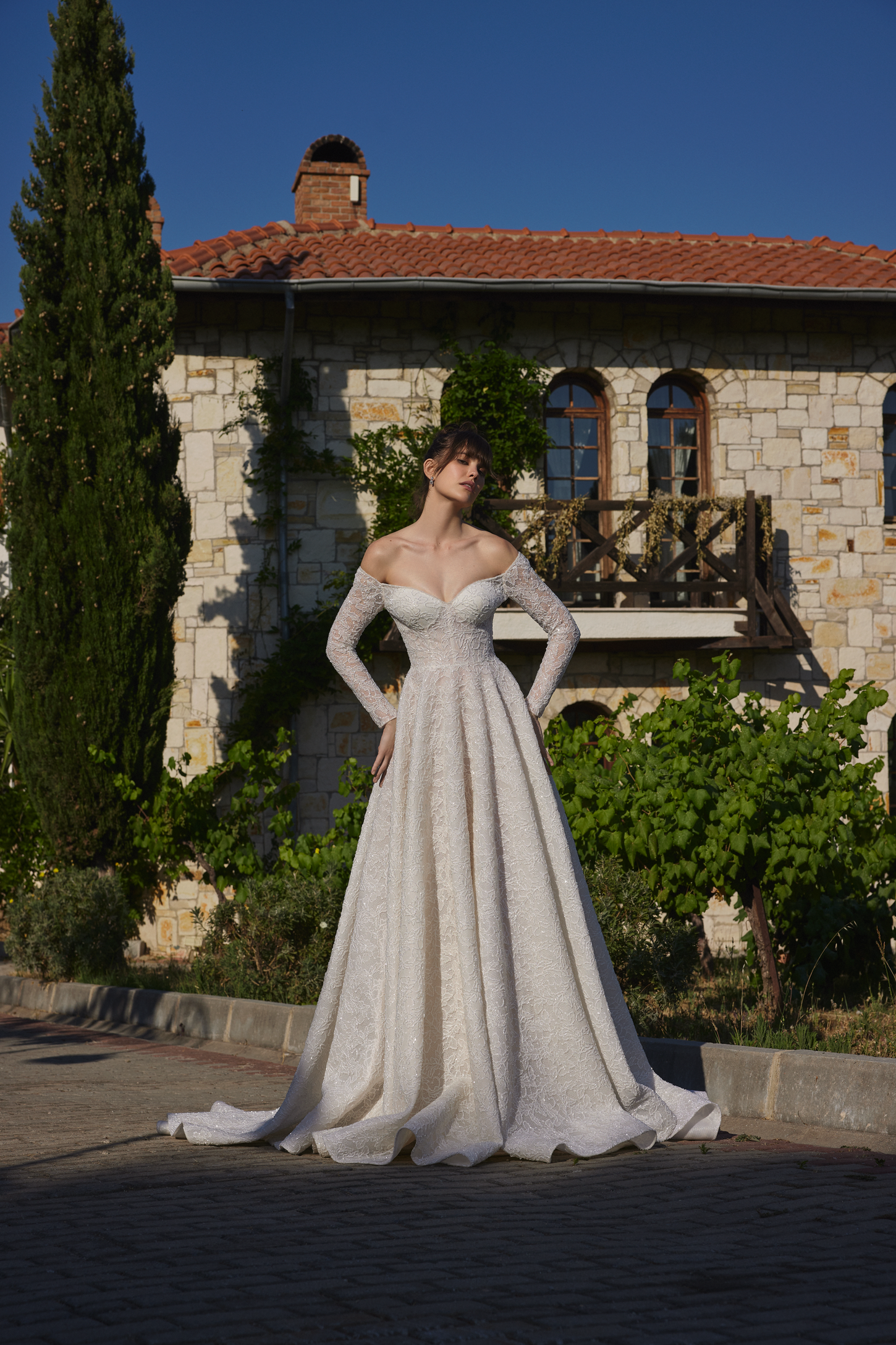 Shimmering Lace A-Line Bridal Gown with Long Sleeves