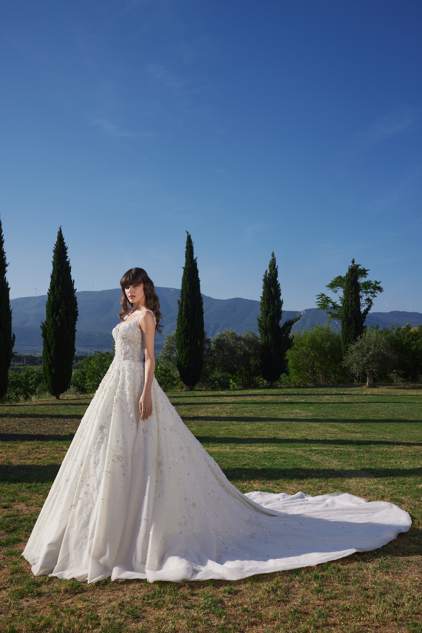 Enchanted Floral Ball Gown with V-Neckline